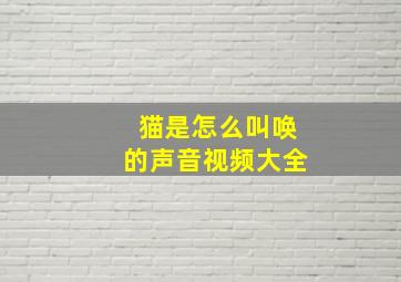 猫是怎么叫唤的声音视频大全