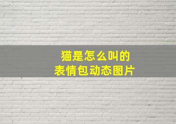 猫是怎么叫的表情包动态图片