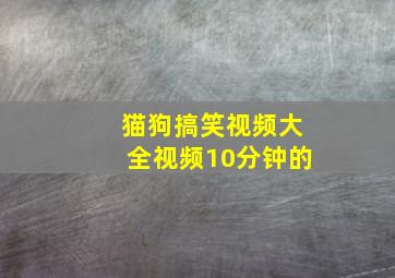 猫狗搞笑视频大全视频10分钟的