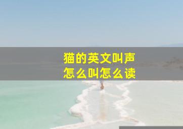 猫的英文叫声怎么叫怎么读