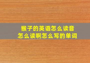 猴子的英语怎么读音怎么读啊怎么写的单词