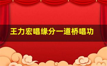 王力宏唱缘分一道桥唱功