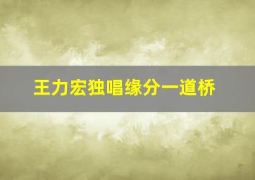 王力宏独唱缘分一道桥