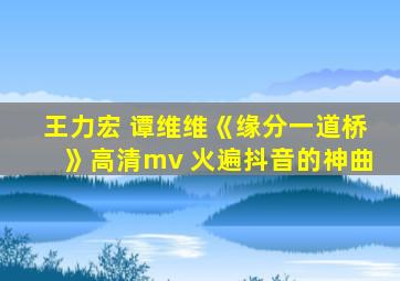 王力宏 谭维维《缘分一道桥》高清mv 火遍抖音的神曲