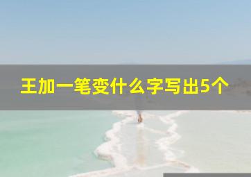 王加一笔变什么字写出5个