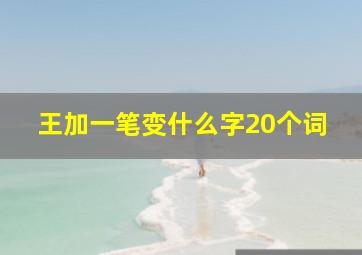 王加一笔变什么字20个词