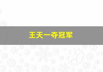 王天一夺冠军