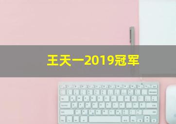 王天一2019冠军