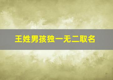 王姓男孩独一无二取名