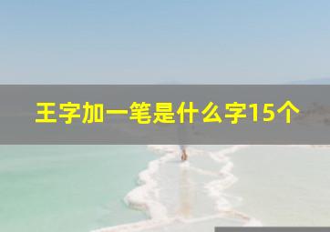 王字加一笔是什么字15个