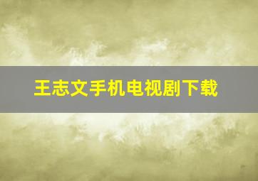 王志文手机电视剧下载