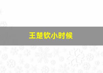 王楚钦小时候