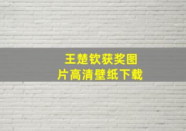 王楚钦获奖图片高清壁纸下载