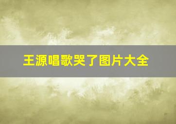 王源唱歌哭了图片大全