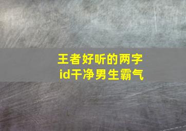 王者好听的两字id干净男生霸气