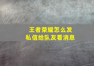 王者荣耀怎么发私信给队友看消息