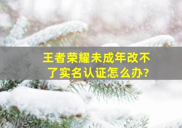 王者荣耀未成年改不了实名认证怎么办?