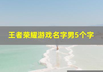 王者荣耀游戏名字男5个字