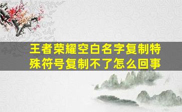 王者荣耀空白名字复制特殊符号复制不了怎么回事