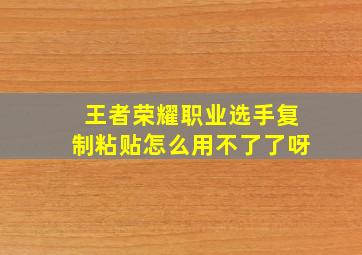 王者荣耀职业选手复制粘贴怎么用不了了呀