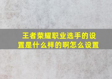 王者荣耀职业选手的设置是什么样的啊怎么设置