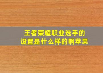 王者荣耀职业选手的设置是什么样的啊苹果