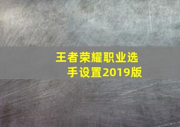 王者荣耀职业选手设置2019版