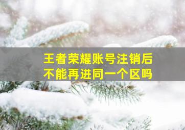 王者荣耀账号注销后不能再进同一个区吗