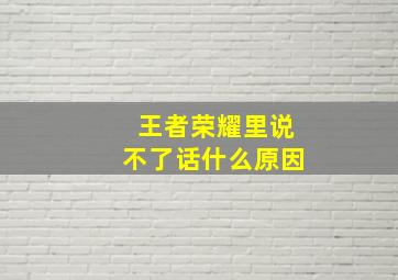 王者荣耀里说不了话什么原因