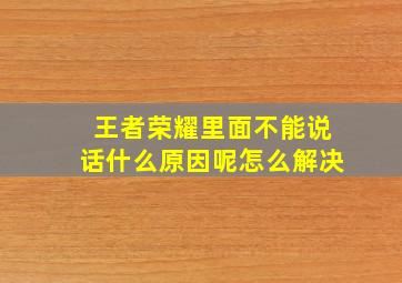 王者荣耀里面不能说话什么原因呢怎么解决