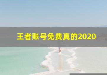 王者账号免费真的2020