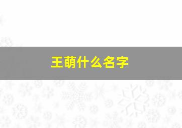 王萌什么名字