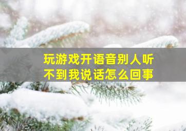 玩游戏开语音别人听不到我说话怎么回事