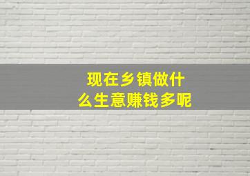 现在乡镇做什么生意赚钱多呢