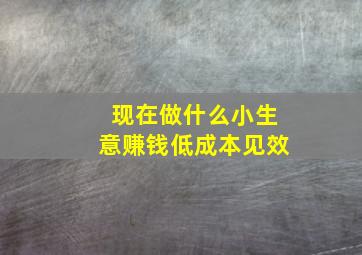 现在做什么小生意赚钱低成本见效