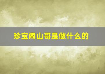 珍宝阁山哥是做什么的