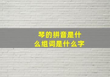 琴的拼音是什么组词是什么字