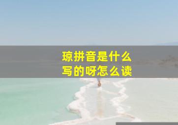 琼拼音是什么写的呀怎么读