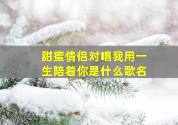 甜蜜情侣对唱我用一生陪着你是什么歌名