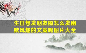 生日想发朋友圈怎么发幽默风趣的文案呢图片大全