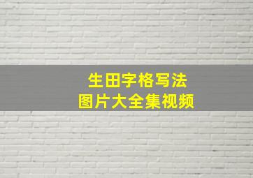 生田字格写法图片大全集视频