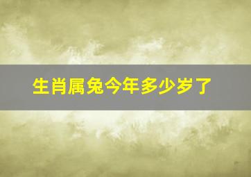 生肖属兔今年多少岁了