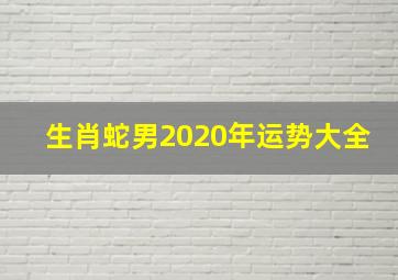 生肖蛇男2020年运势大全