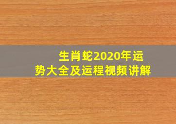 生肖蛇2020年运势大全及运程视频讲解