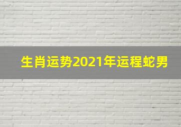 生肖运势2021年运程蛇男