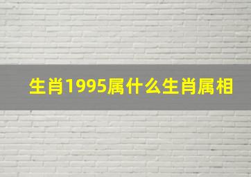 生肖1995属什么生肖属相