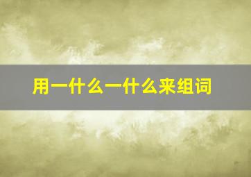 用一什么一什么来组词