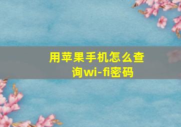 用苹果手机怎么查询wi-fi密码