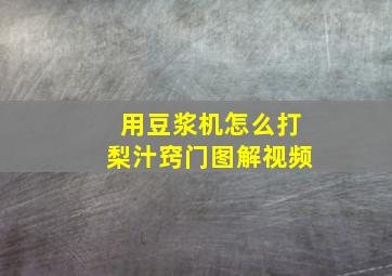 用豆浆机怎么打梨汁窍门图解视频