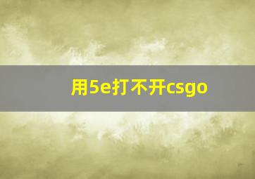 用5e打不开csgo